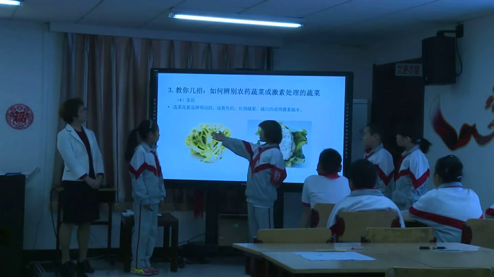 1.小学综合实践活动3-6年级《4.关爱身边的动植物》全国一等奖