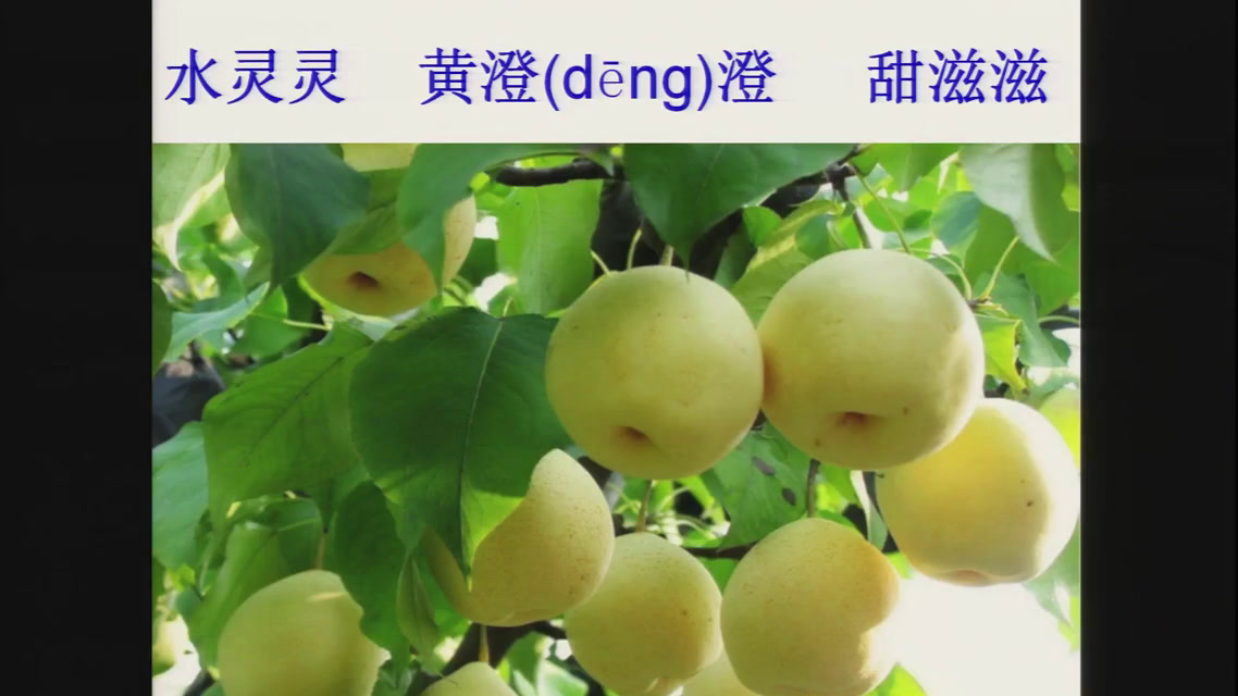 人教部编版语文二上《语文园地四》新疆陈老师-省一等奖