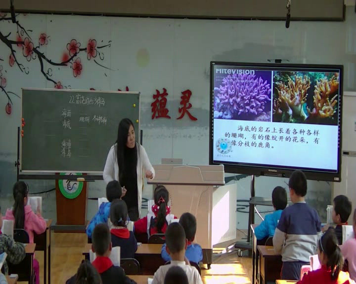 人教版语文三上《22　富饶的西沙群岛》北京石老师-省一等奖