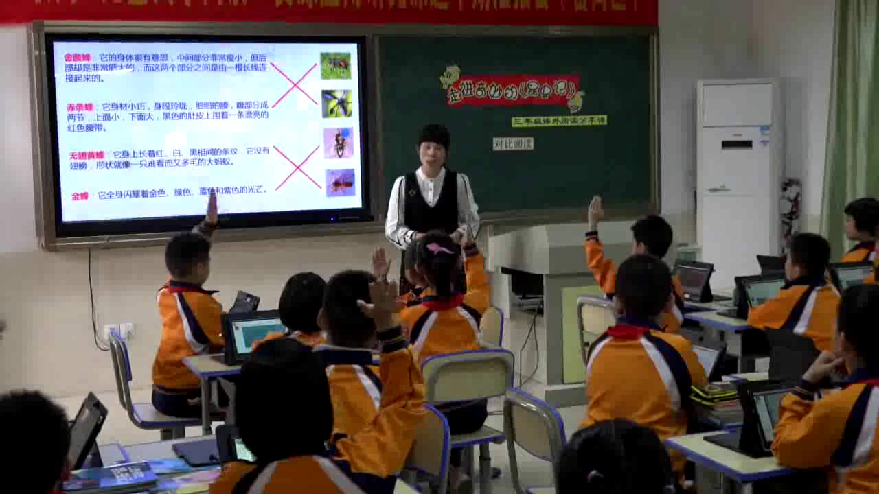 人教版语文三上《14　蜜蜂》广东老师-市一等奖