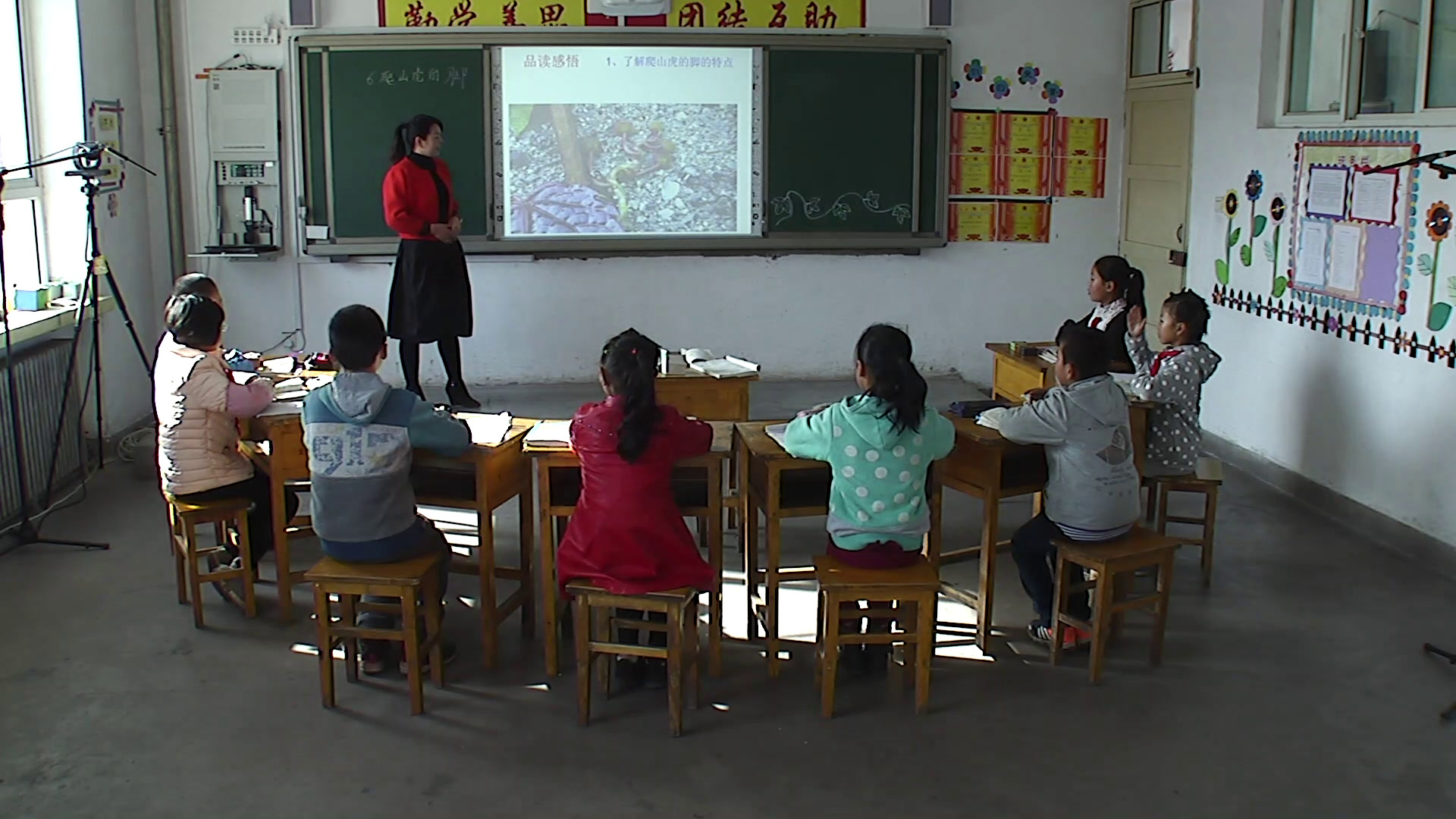 人教版语文四上《6　爬山虎的脚》甘肃张老师-省一等奖