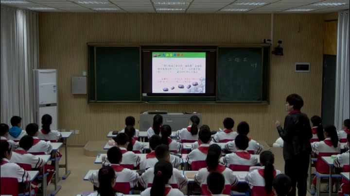 人教版语文四上《21　搭石》江西郑老师-省一等奖