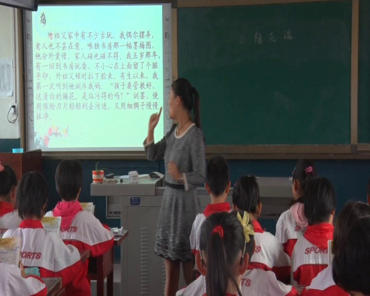 人教版语文五上《6　梅花魂》陕西白老师-省一等奖