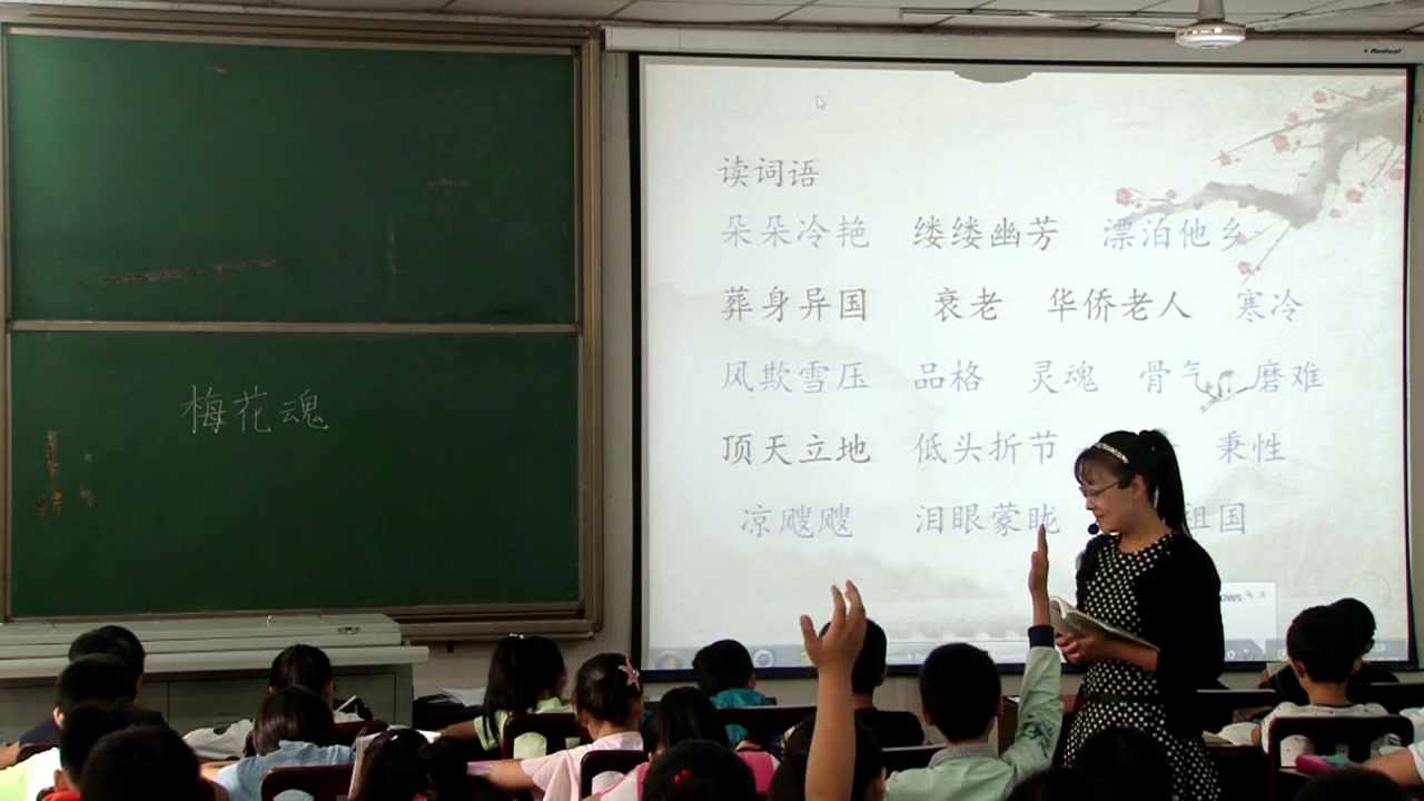 人教版语文五上《6　梅花魂》河南李老师-省一等奖