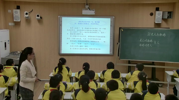 人教版语文六上《21　老人与海鸥》山东张老师-全国一等奖