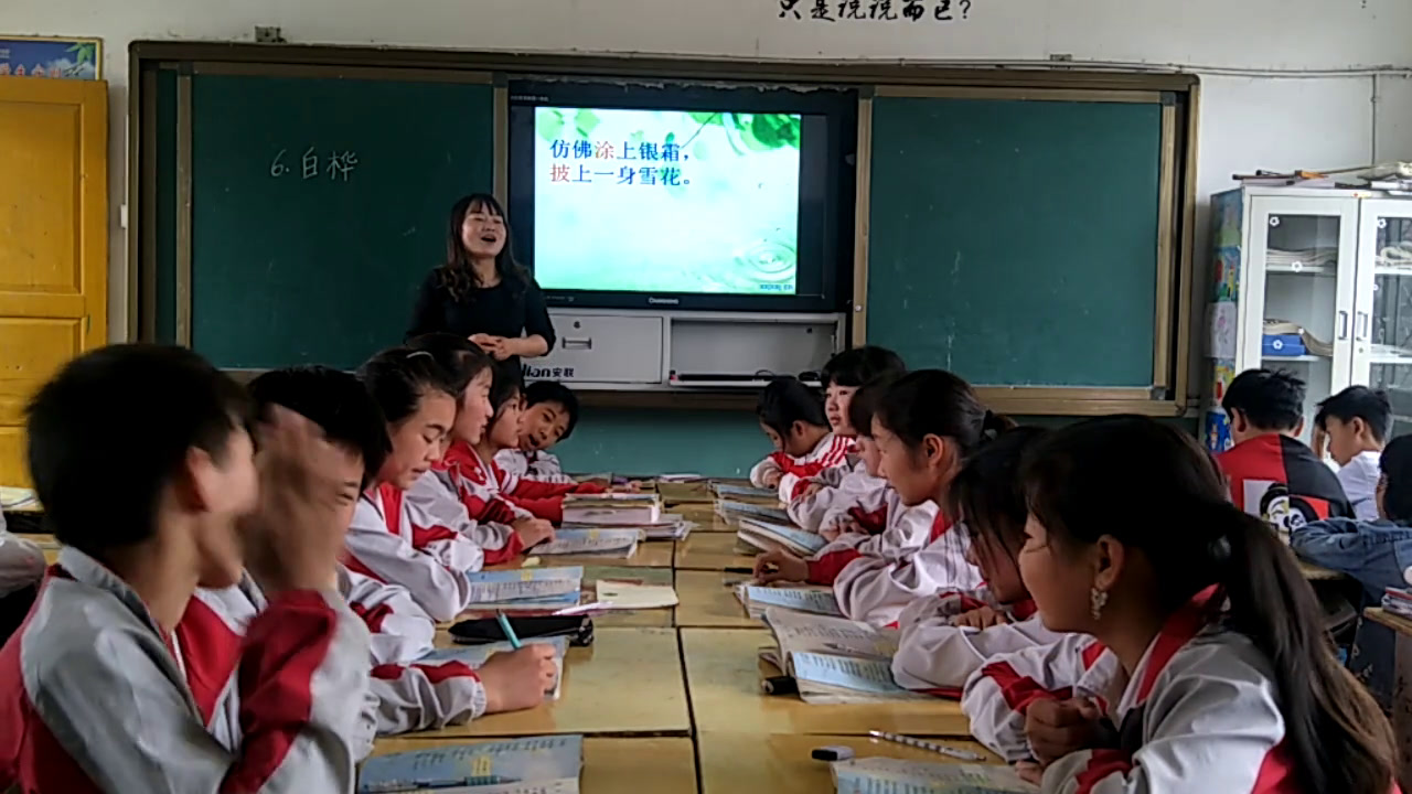 人教版语文六上《白桦》安徽修老师-市一等奖