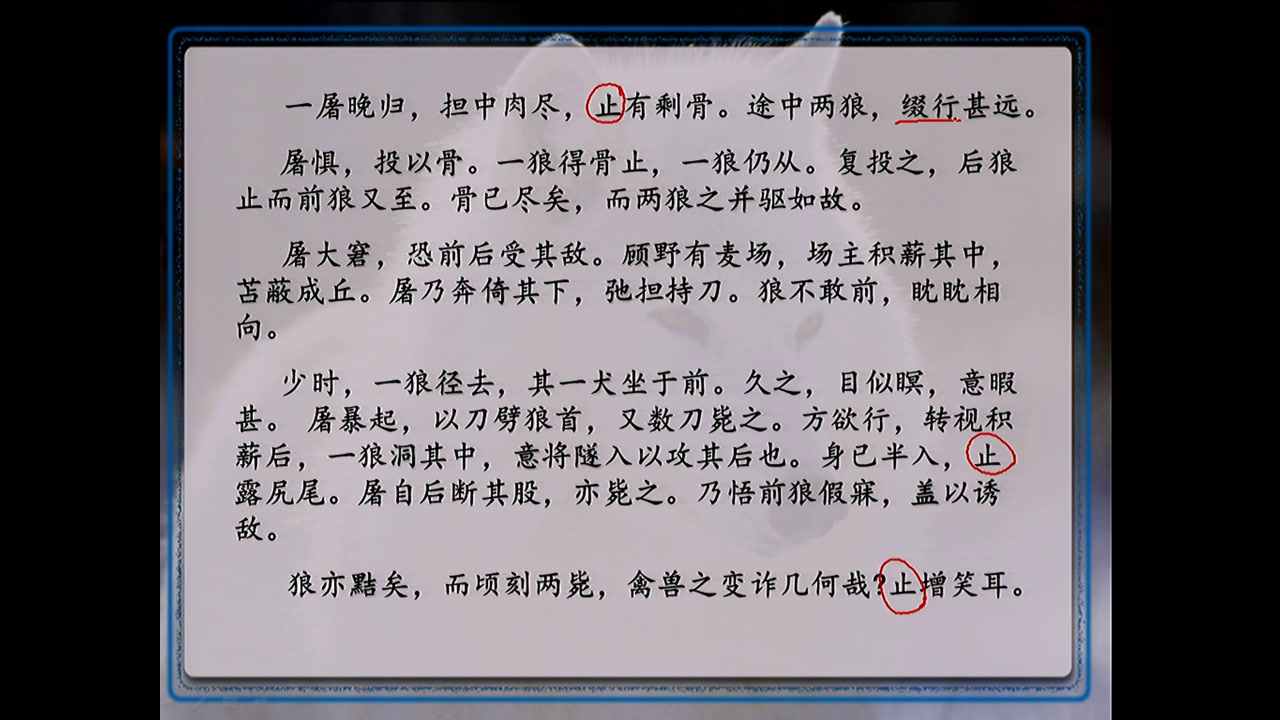 人教版初中语文七上《20狼》山东潘老师-省一等奖