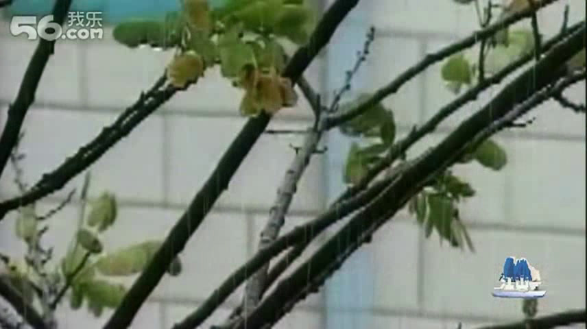 人教版初中语文七上《3雨的四季》山西王老师-省一等奖