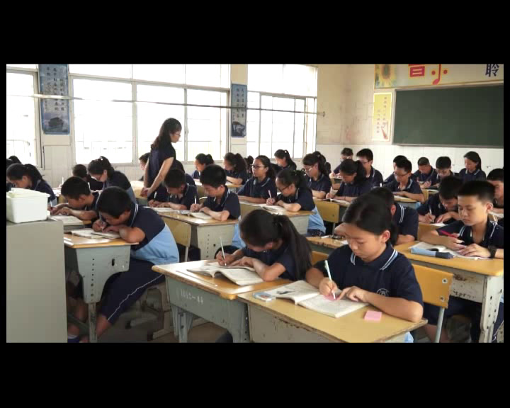 人教版初中语文七上《17猫》湖南李老师-省一等奖