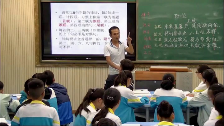 人教版初中语文八上《野望》安徽老师-市一等奖