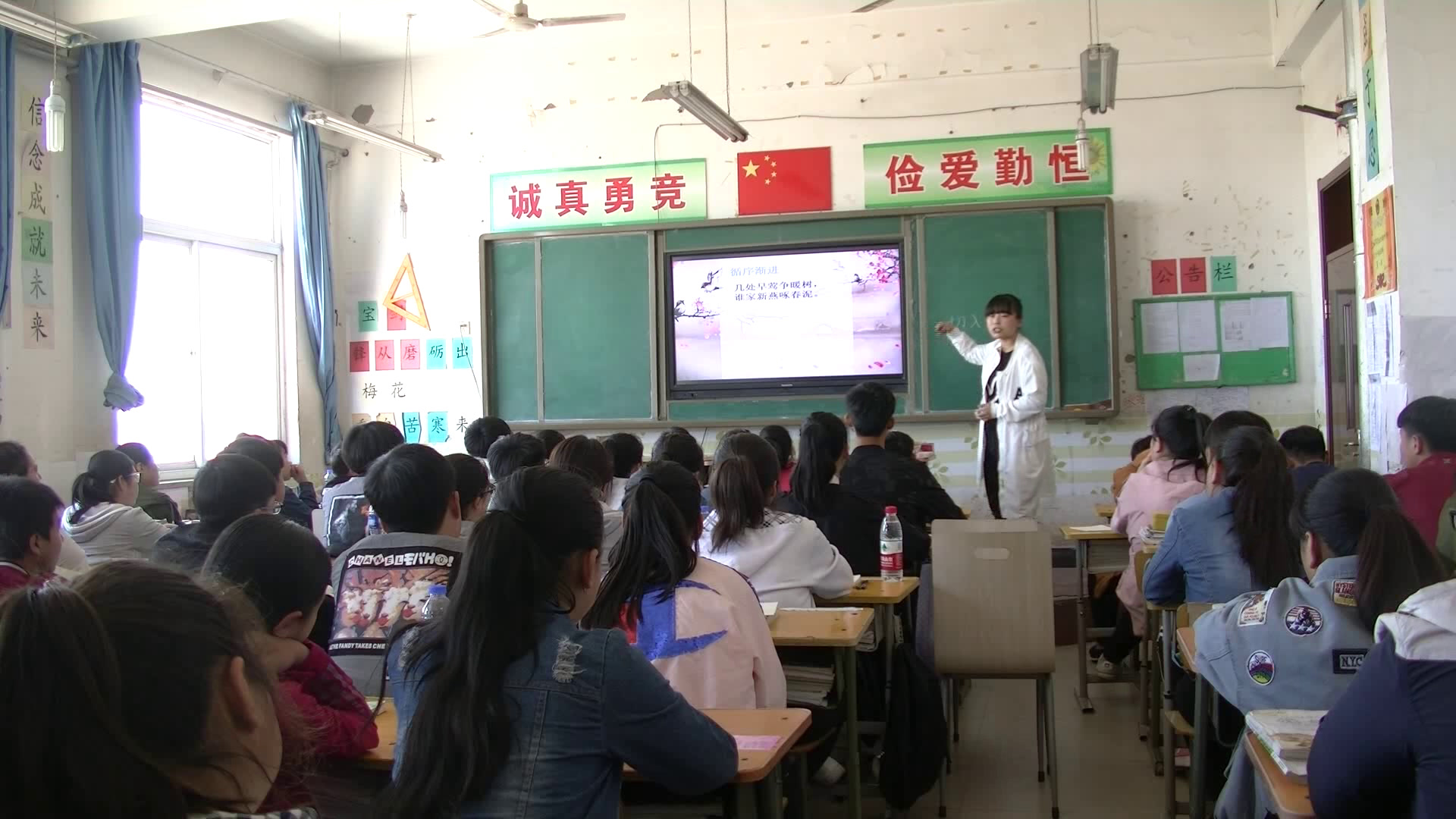 人教版初中语文九上《怎样读诗》河北杨老师-省一等奖
