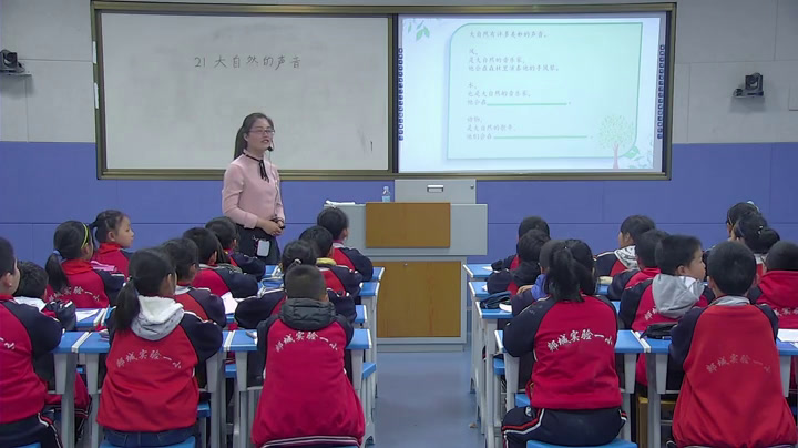 部编版语文三上《21大自然的声音》山东颜老师-市一等奖