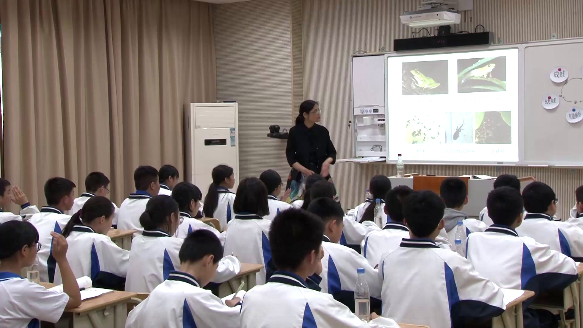 浙教版科学七下《第３节动物的生长时期》浙江黄老师-全国一等奖