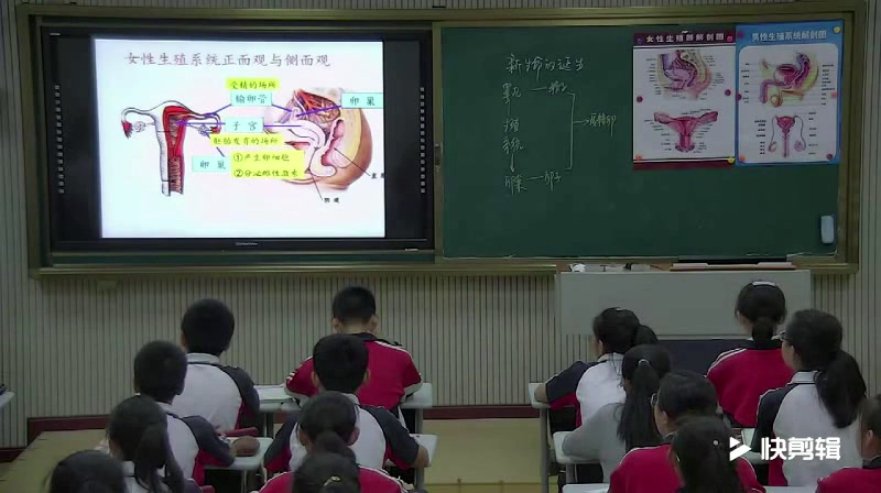 浙教版科学七下《第１节新生命的诞生》浙江张老师-全国一等奖
