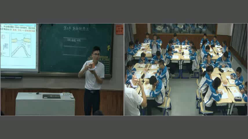 浙教版科学九下《第3节身体的防卫》浙江伍老师-市一等奖