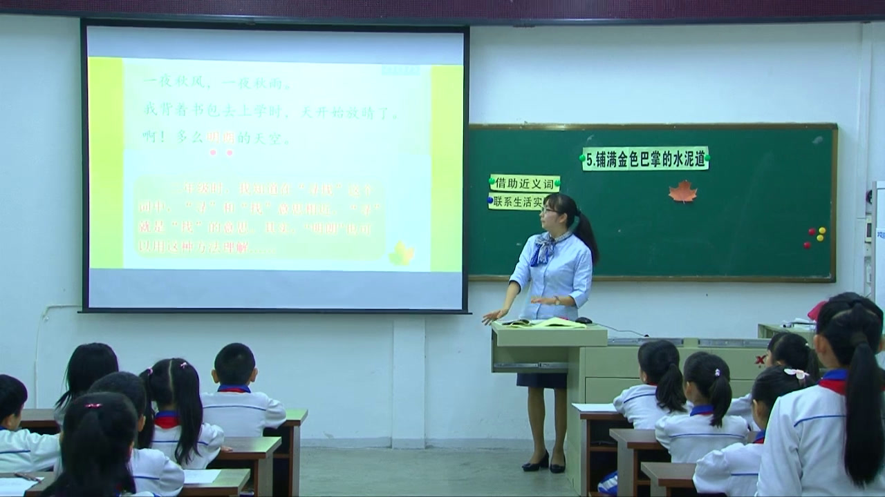 部编版语文三上《5铺满金色巴掌的水泥道》广东杨老师-县级优课