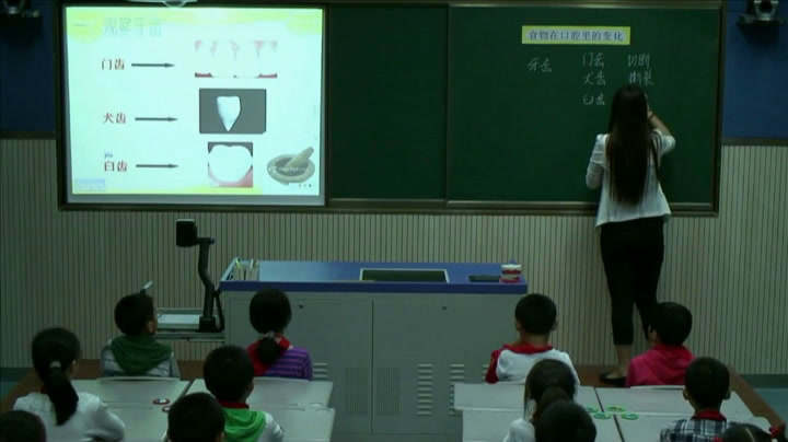 教科版科学四上《食物在口腔里的变化》江苏老师-县级优课