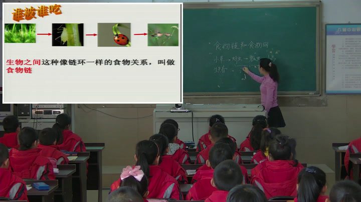 教科版科学五上《食物链和食物网》吉林赵老师-市一等奖