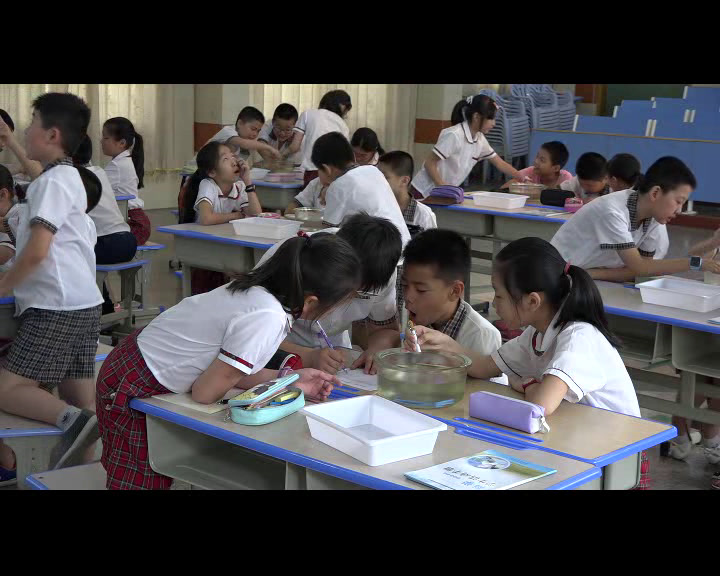 教科版科学五上《光的反射》福建吴老师-省一等奖