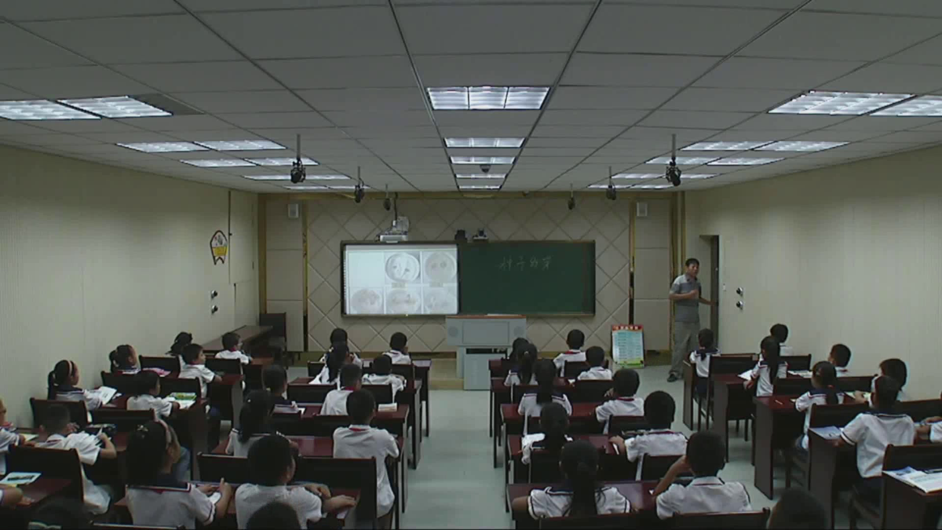 教科版科学五上《种子发芽实验（二）》安徽刘老师-市一等奖