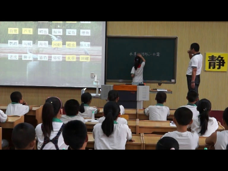 教科版科学五上《食物链和食物网》河北王老师-省一等奖