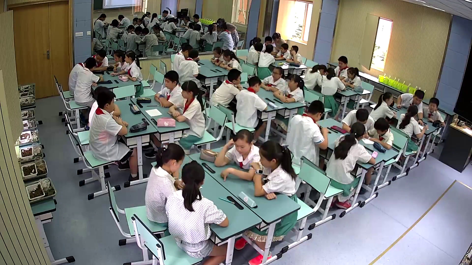 教科版科学五上《减少对土地的侵蚀》浙江陈老师-全国一等奖