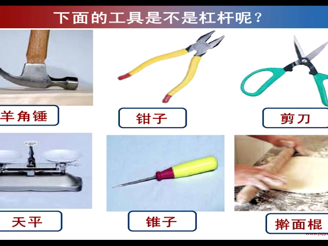 教科版科学六上《2.杠杆的科学》江西万老师-全国一等奖