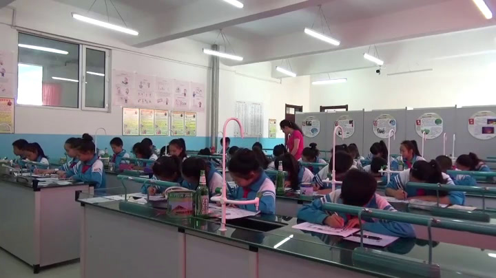 教科版科学六上《3.杠杆类工具的研究》吉林姚老师-市一等奖