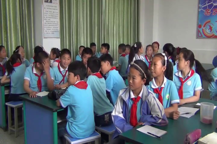 教科版科学六上《5.相貌各异的我们》江苏王老师-市一等奖