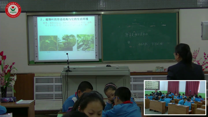 教科版科学六上《6.原来是相互关联的》吉林范老师-市一等奖