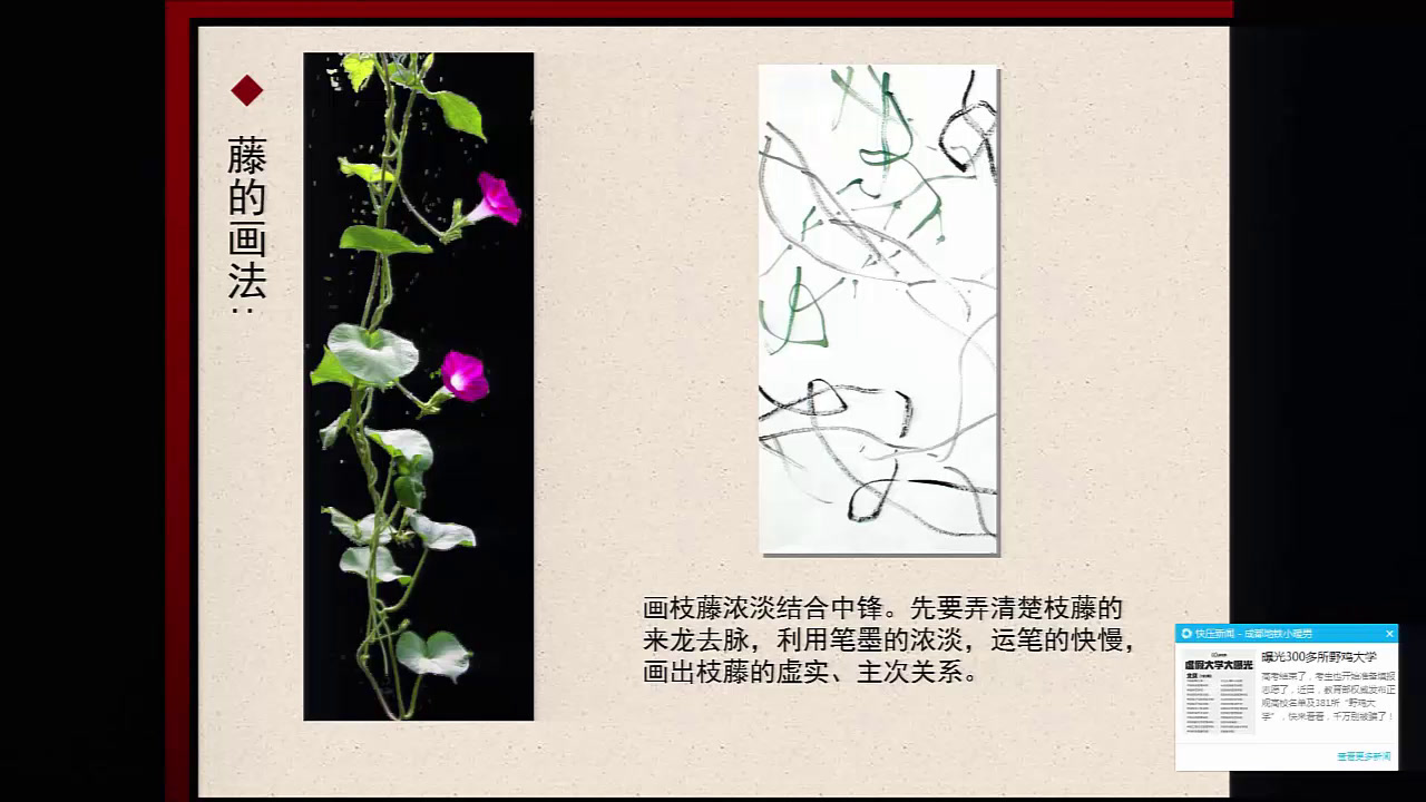 人美版美术七下《8.写意花卉》安徽杨老师-市一等奖