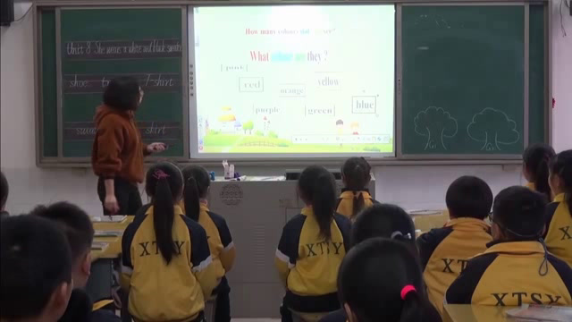 湘少版英语四上《Unit8Shewearsawhiteandblacksweater.》湖南陈老师-市一等奖