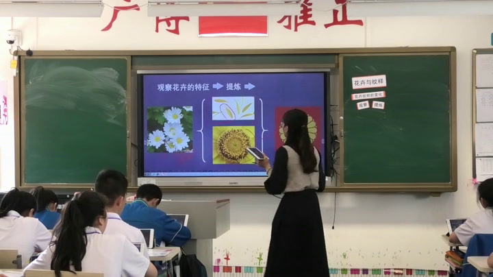 岭南社版美术七下《5花卉与纹样》广东樊老师-市一等奖