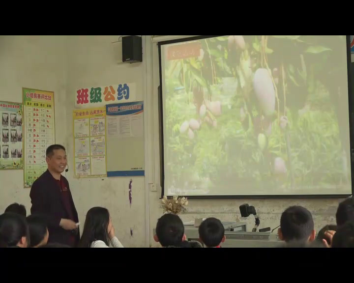 湘教版地理八上《第一节农业》湖南邓老师-省一等奖