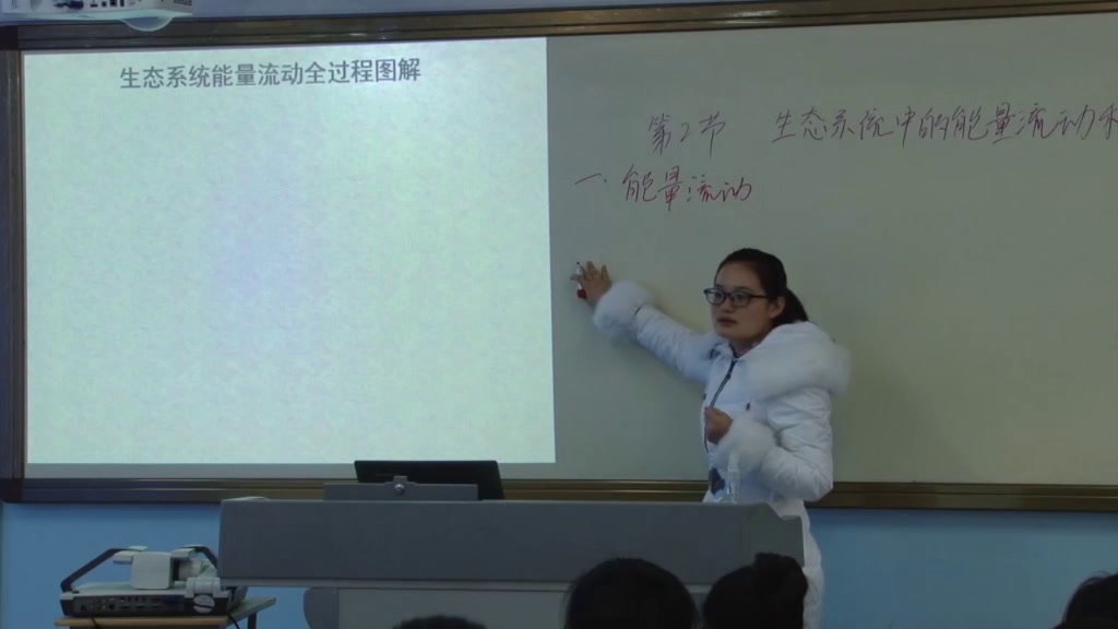 苏教版生物八上《第二节生态系统中的能力流动和物质循环》安徽蒋老师-市一等奖