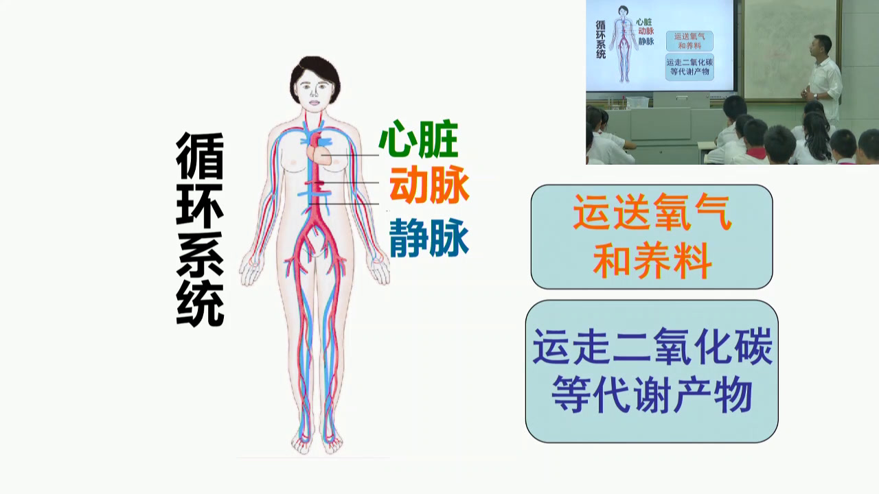 苏教版生物七下《第三节人体概述》云南阮老师-省一等奖