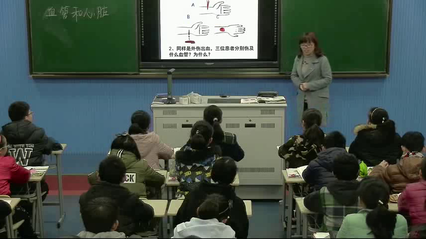 苏教版生物七下《第二节人体的血液循环》江苏尹老师-省一等奖