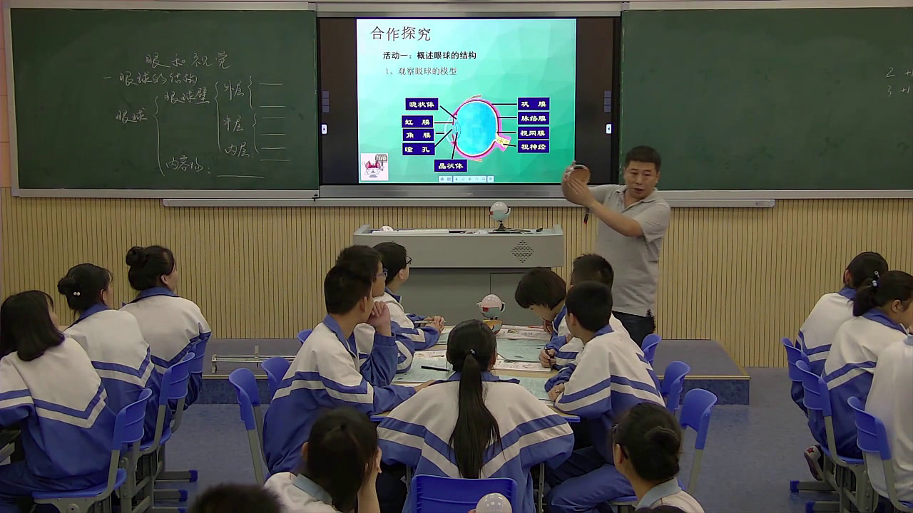 苏教版生物七下《第三节人体感知信息》湖南王老师-全国一等奖