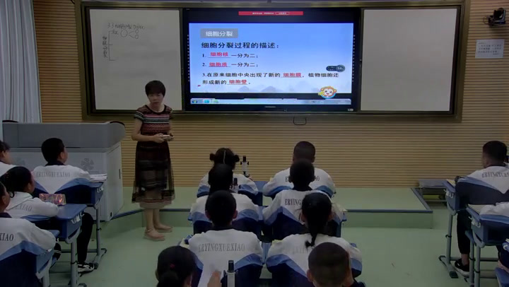 苏教版生物七上《第三节细胞分裂与分化》甘肃李老师-省一等奖