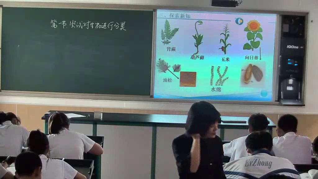 苏教版生物八上《第四节生物的分类》辽宁郑老师-市一等奖
