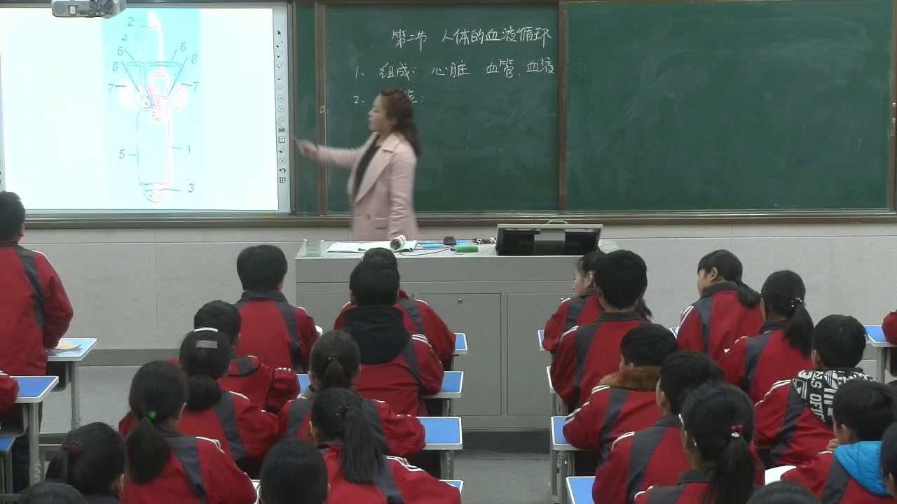 苏教版生物七下《第二节人体的血液循环》河南田老师-省一等奖