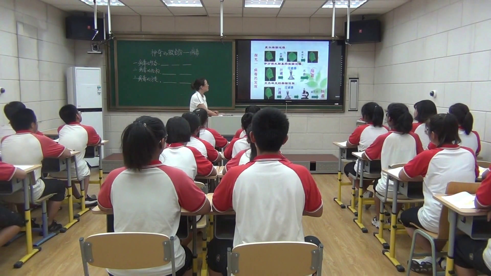 苏教版生物八上《第三节神奇的微生物》辽宁曾老师-市一等奖