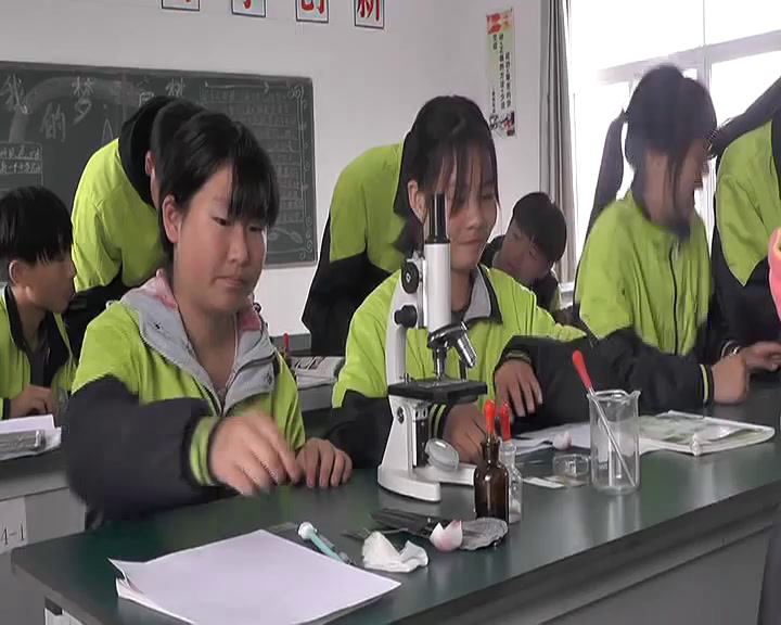 苏教版生物七上《第一节植物细胞的结构和功能》安徽娄老师-市一等奖
