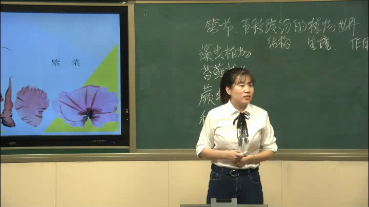 苏教版生物八上《第一节五彩缤纷的植物世界》辽宁秦老师-市一等奖