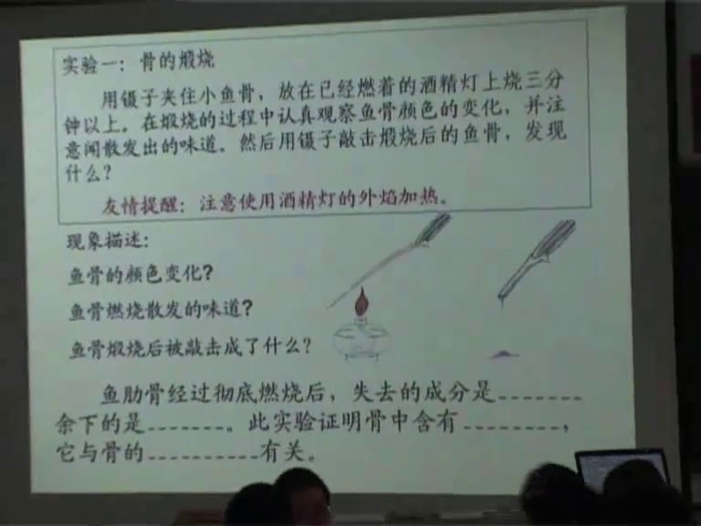 苏教版生物七下《第三节人体概述》江苏王老师-市一等奖