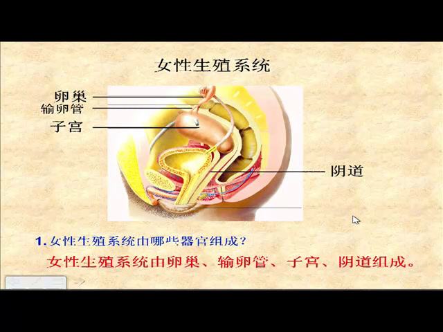 苏教版生物七下《第一节精卵结合孕育新的生命》辽宁老师-县级优课
