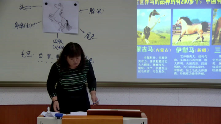 人教版美术二上《第15课　我和马儿在一起》河北宋老师-县级优课