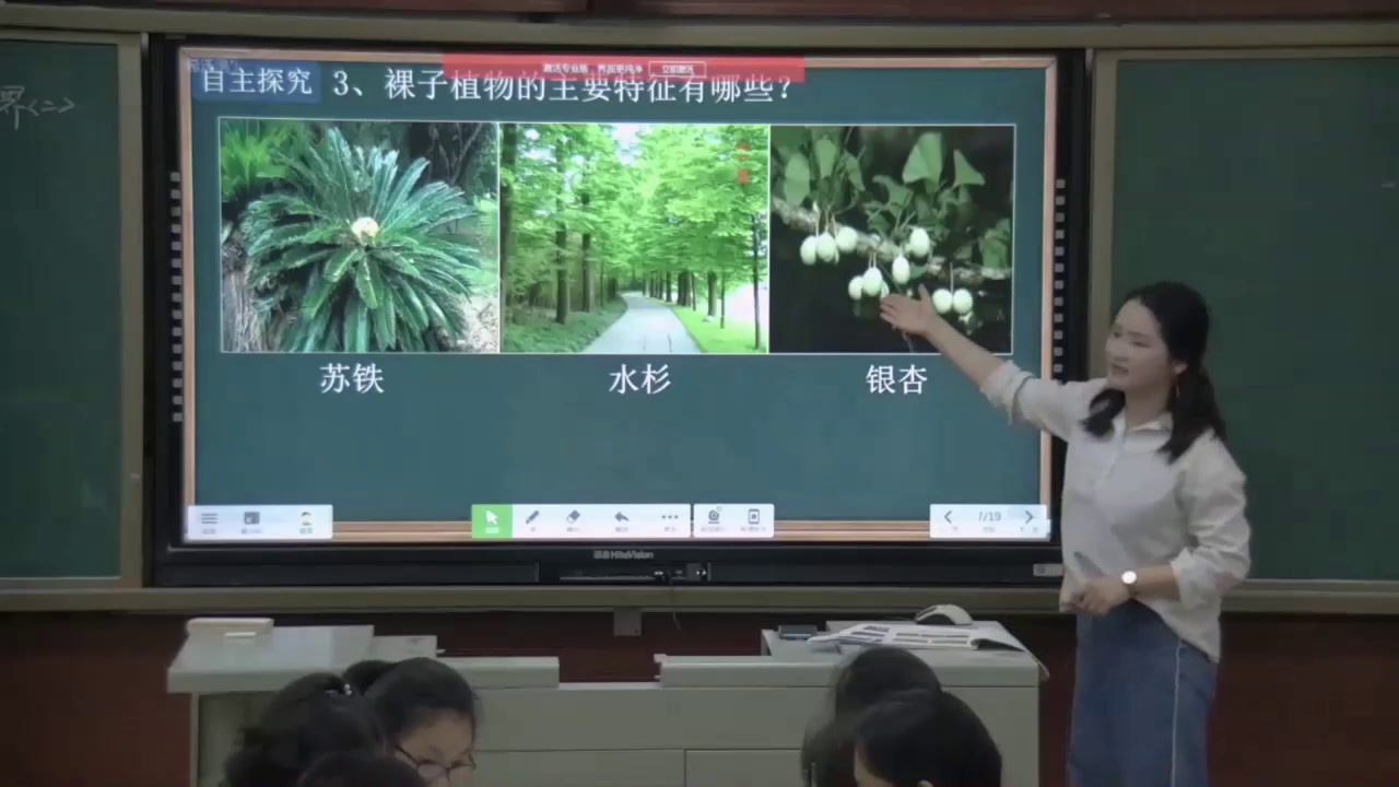 苏教版生物八上《第一节五彩缤纷的植物世界》湖南郭老师-县级优课