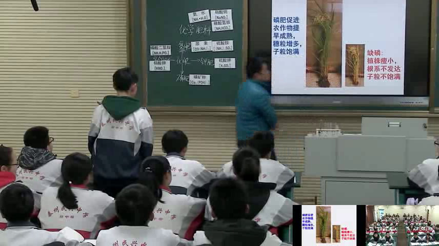 泸教版化学九下《第3节几种重要的盐》江苏沈老师-市一等奖