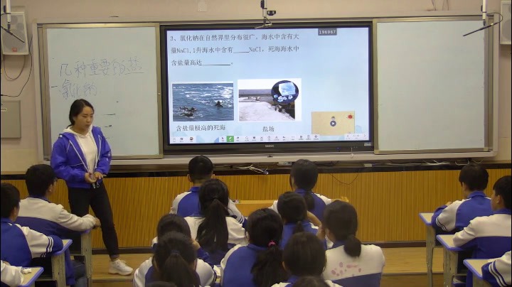 泸教版化学九下《第3节几种重要的盐》贵州程老师-省一等奖